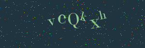 Validation image
