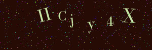 Validation image