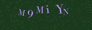 Validation image