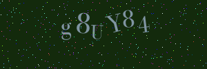 Validation image