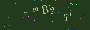 Validation image