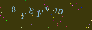 Validation image