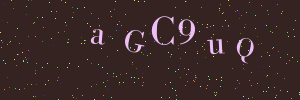 Validation image