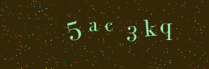 Validation image