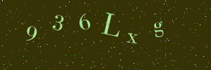 Validation image