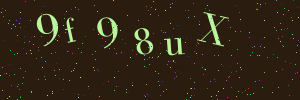 Validation image