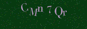 Validation image