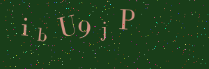 Validation image