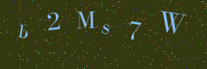 Validation image