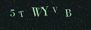 Validation image