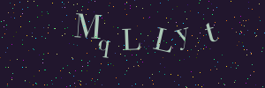 Validation image