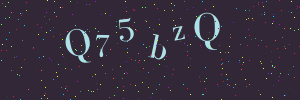 Validation image