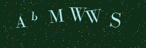 Validation image