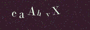 Validation image