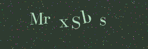 Validation image