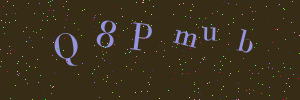 Validation image