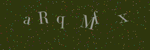 Validation image