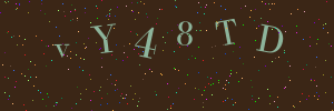 Validation image