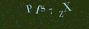 Validation image