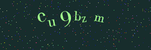 Validation image