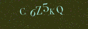 Validation image