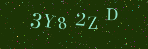 Validation image