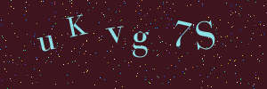 Validation image