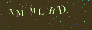 Validation image