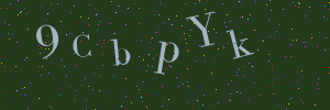 Validation image