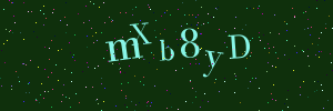 Validation image