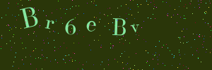 Validation image