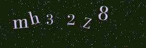 Validation image