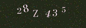 Validation image