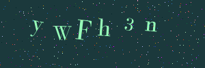 Validation image